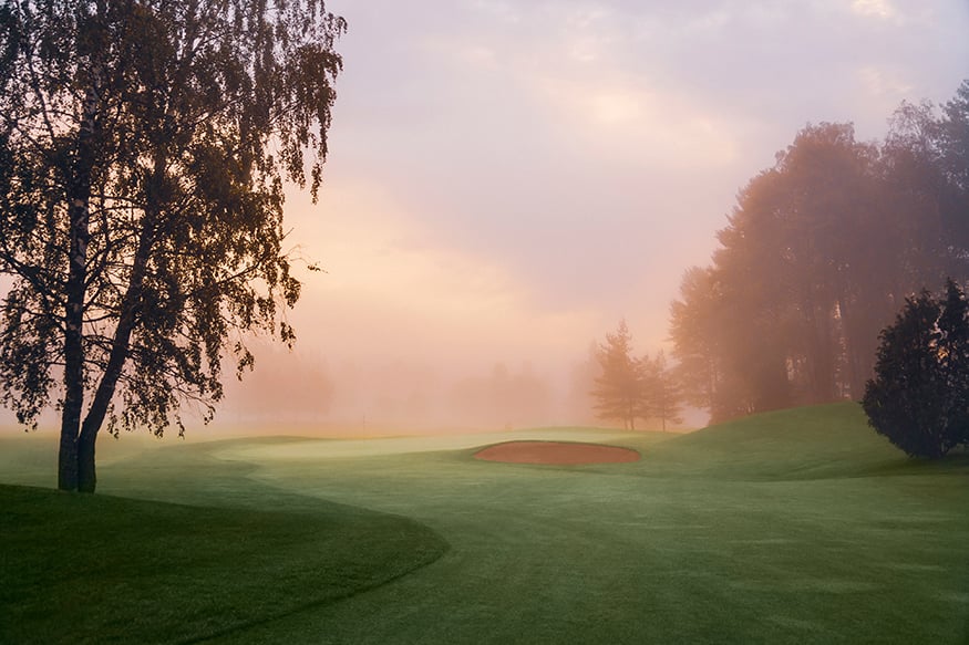 Grano konkretiserade Sarfvik Golfs varumärke