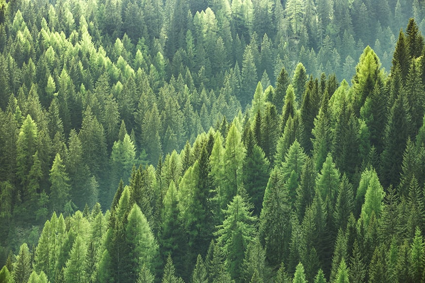 Koko Grano on nyt ISO-sertifioitu: ISO 9001 & ISO 14001