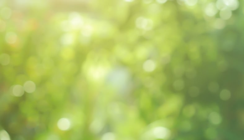 Grano tiedottaa työnseisauksesta